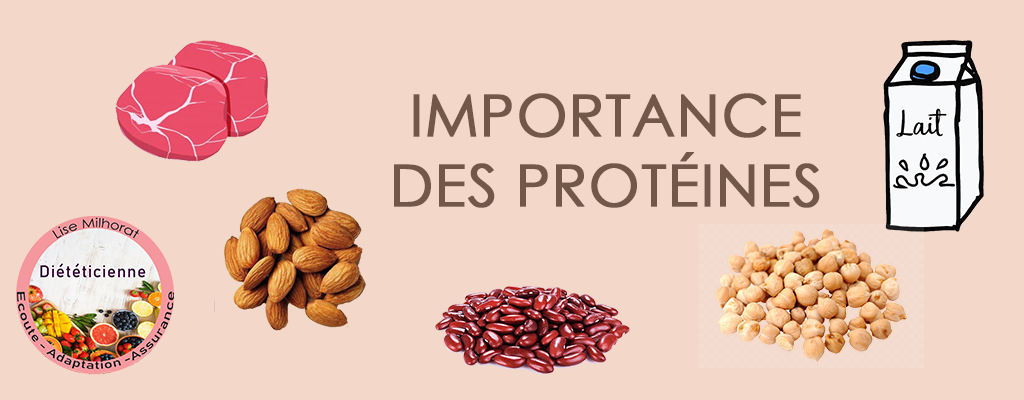 Importance des protéines
